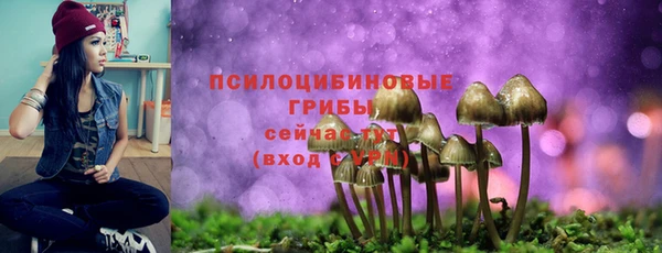 экстази Абаза
